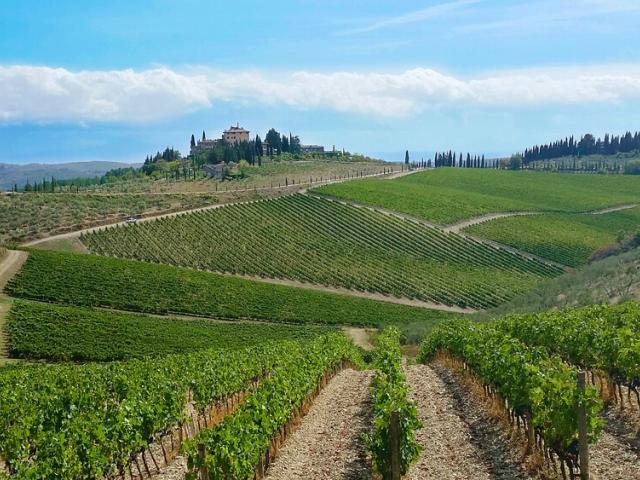 Famous Tuscan Scenery - Scenic Wine Tours in Tuscany