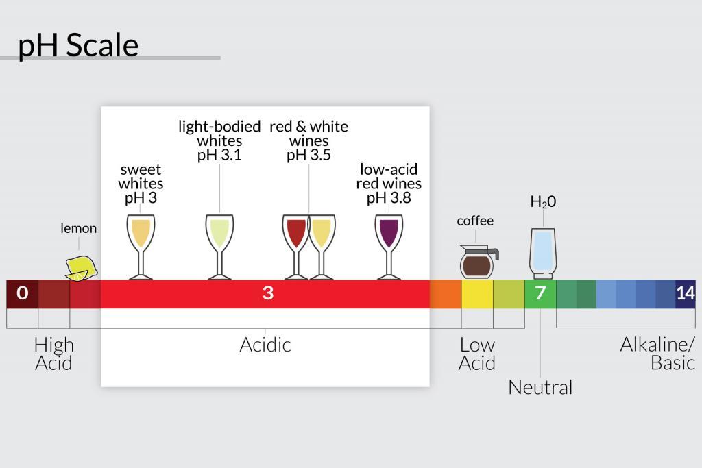 Acidic Wine Meaning Scenic Wine Tours In Tuscany