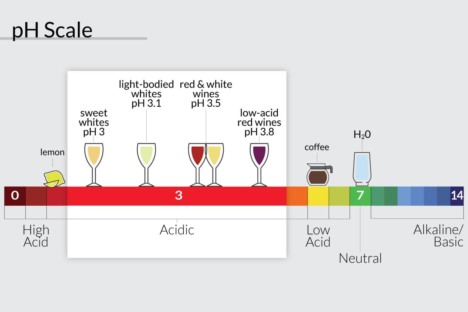 Acidic Wine Meaning - Scenic Wine Tours in Tuscany