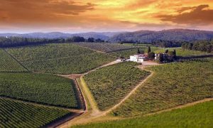 Tuscan winery